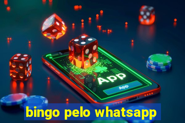 bingo pelo whatsapp